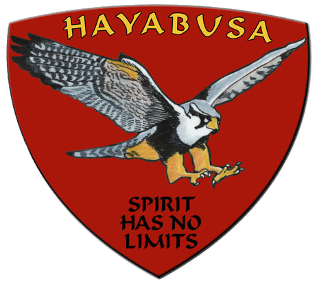 Hayabus patch